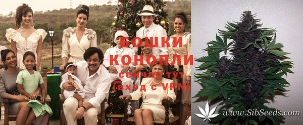 бошки Бородино