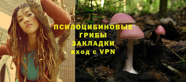 не бодяженный Богданович