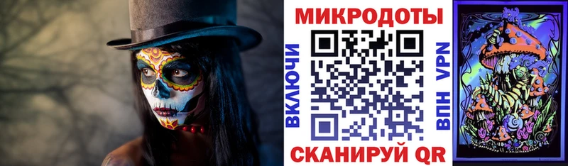 Галлюциногенные грибы Psilocybe  купить закладку  Дно 